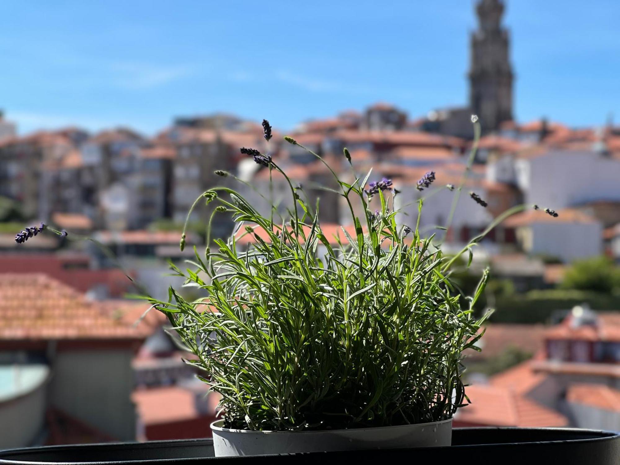 Urban Apartment Casa da Portela OOporto Esterno foto